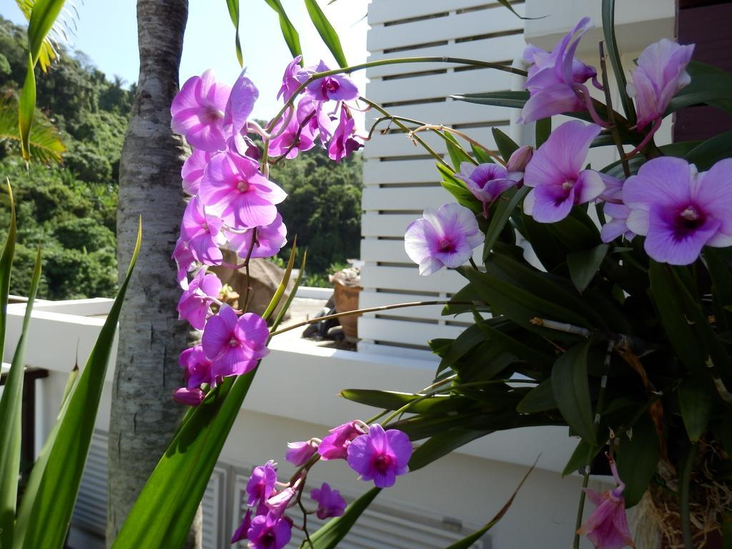 Kata Beach Studio Phuket Екстер'єр фото